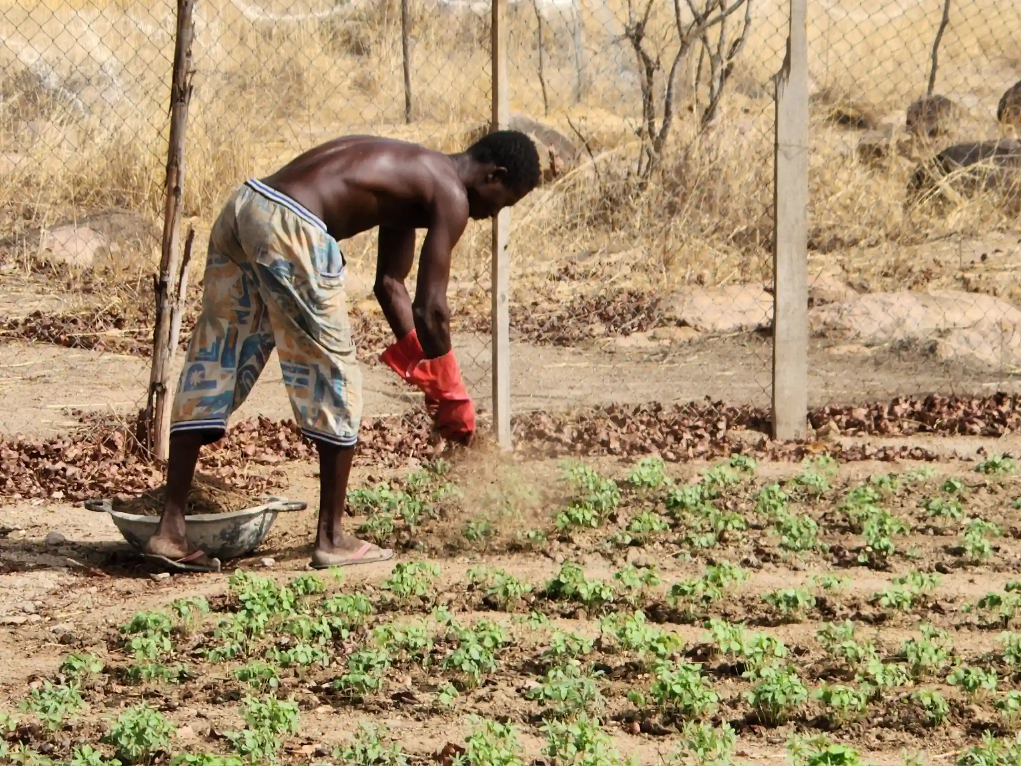 Farming